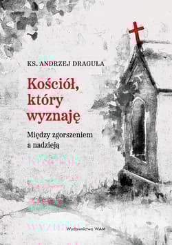 Kościół który wyznaję Między zgorszeniem a nadzieją - Andrzej Draguła