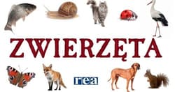 Kosmetyki naturalne DIY Receptury na pachnące i naturalne kremy, toniki, balsamy, maski, płukanki, szampony, masła do ciała - Sokolovska Lena, Vysniauskiene Jovita, Tylaite Migle