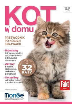 Kot w domu - Praca zbiorowa