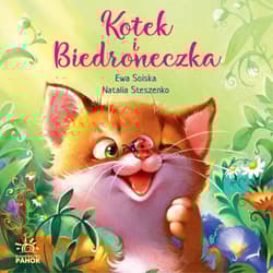 Kotek i biedroneczka - Ewa Solska