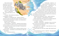 Galeria - zdjęcie nr. 4 - Kotka ze słonecznych wydm. Fela i jej kocie przygody