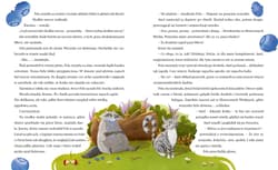 Galeria - zdjęcie nr. 2 - Kotka ze słonecznych wydm. Fela i jej kocie przygody