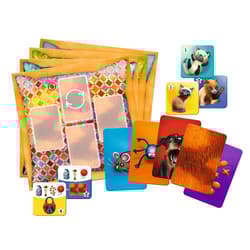 Galeria - zdjęcie nr. 3 - Kotki