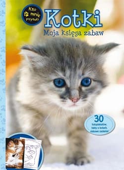 Kotki. Moja księga zabaw