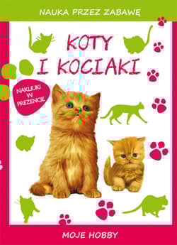 Koty i kociaki Moje hobby