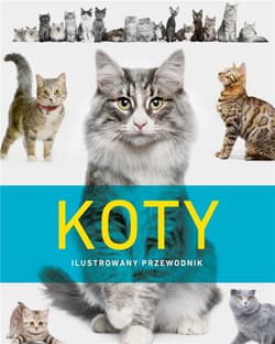 Koty. Ilustrowany przewodnik - Praca zbiorowa