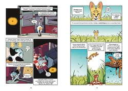 Galeria - zdjęcie nr. 5 - Koty - natura i wychowanie. Naukomiks wyd. 2025