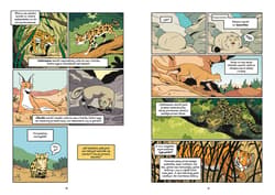 Galeria - zdjęcie nr. 3 - Koty - natura i wychowanie. Naukomiks wyd. 2025