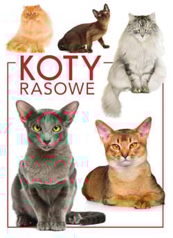 Koty rasowe - Opracowanie Zbiorowe