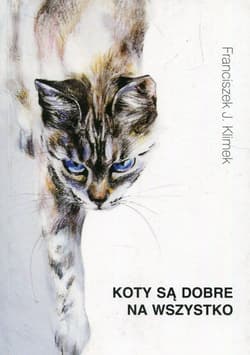 Koty są dobre na wszystko