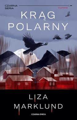 Krąg polarny