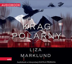 Krąg polarny - audiobook