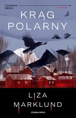 Krąg polarny - ebook - Liza Marklund