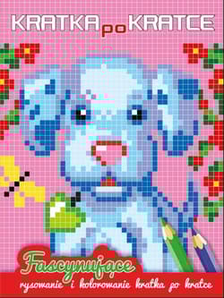 Kratka po kratce Piesek