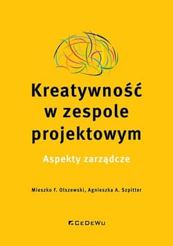 Kreatywność w zespole projektowym. Aspekty zarządcze - Szpitter Agnieszka A.