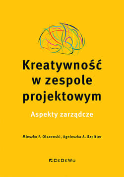 Kreatywność w zespole projektowym. Aspekty zarządcze - Szpitter Agnieszka A.