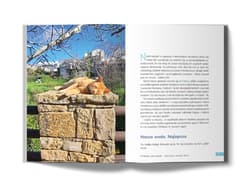 Galeria - zdjęcie nr. 4 - Kreta Wyspa, gdzie żyje się teraz