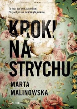 Kroki na strychu Wielkie Litery - Marta Malinowska