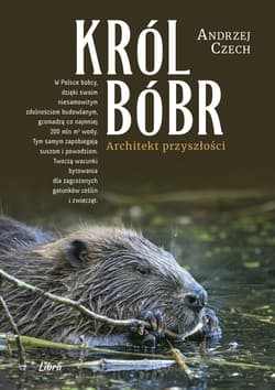 Król bóbr. Architekt przyszłości - Andrzej Czech