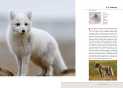 Galeria - zdjęcie nr. 3 - Królestwo zwierząt