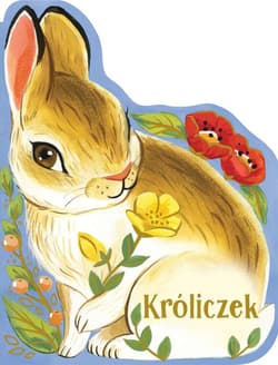 Kroliczek - Wren  Rosalee