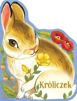 Kroliczek - Wren  Rosalee