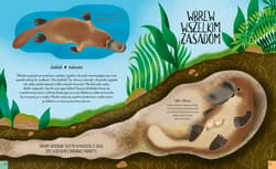 Galeria - zdjęcie nr. 4 - Królowe świata zwierząt Niezwykłe przedstawicielki płci żeńskiej