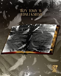 Galeria - zdjęcie nr. 3 - Kroniki Krwi i Mroku (ilustrowane brzegi)
