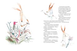 Galeria - zdjęcie nr. 3 - Kropkoza