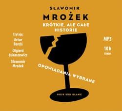 Krótkie, ale całe historie - audiobook