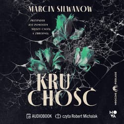 Kruchość - audiobook - Marcin Silwanow