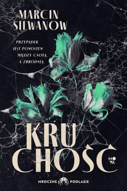 Kruchość - ebook - Marcin Silwanow