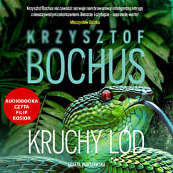Kruchy lód - audiobook - Krzysztof Bochus