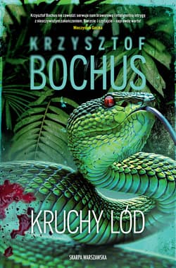 Kruchy lód - ebook - Krzysztof Bochus