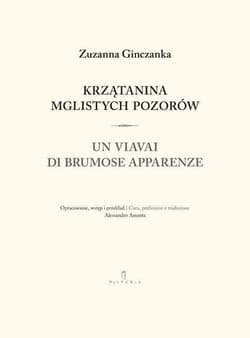 Krzątanina mglistych pozorów - Zuzanna Ginczanka