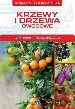 Krzewy i drzewa owocowe