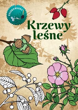 Krzewy leśne. Kolorowanka - Katarzyna Kopiec-Sekieta
