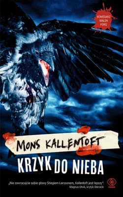 Krzyk do nieba - ebook