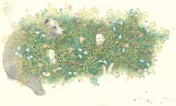 Galeria - zdjęcie nr. 5 - Książę w cukierni