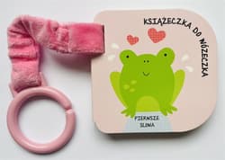 Książeczka do wózeczka. Pierwsze słowa - Praca zbiorowa