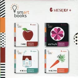 Książeczka poznawcza Owoce / Kształty / W domu / Warzywa Pakiet