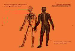 Galeria - zdjęcie nr. 4 - Książka do zrobienia