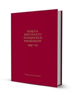 Księga Dwunastu mniejszych proroków - Izaak Cylkow