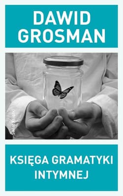 Księga gramatyki intymnej - Dawid  Grosman