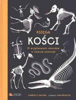 Księga kości - Gabrielle Balkan
