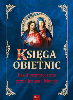 Księga obietnic - ebook - Henryk Bejda