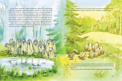 Galeria - zdjęcie nr. 3 - Księga Poku