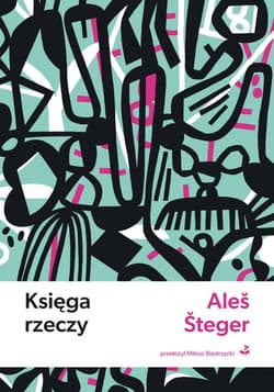 Księga rzeczy - Aleš Šteger