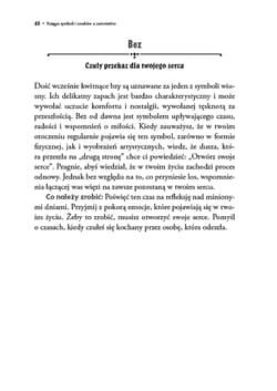 Galeria - zdjęcie nr. 5 - Księga symboli i znaków z zaświatów. Sekretne przesłanie i interpretacja 150 zjawisk i omenów
