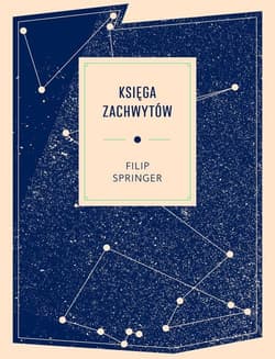 Księga zachwytów - Filip Springer